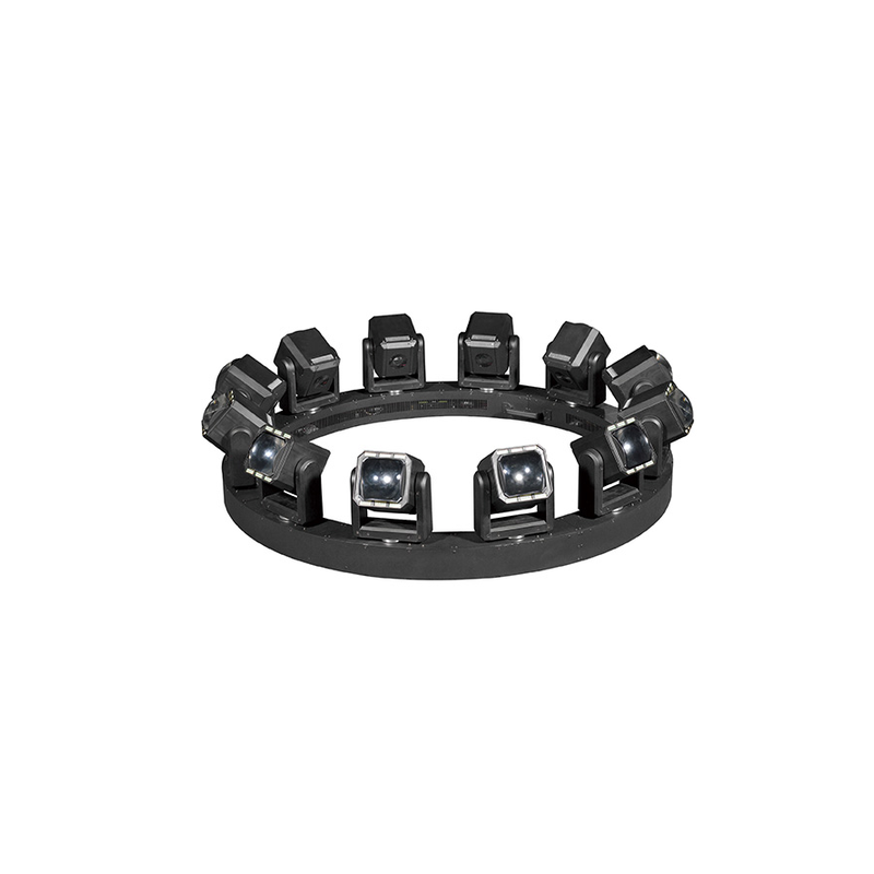 12 Heads Lifting Beam